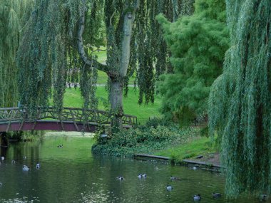 Nijmegen Hollanda 'daki nehir vadisinde.