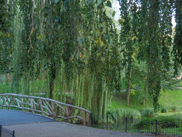 Nijmegen Waal Den Niederlanden — Stockfoto