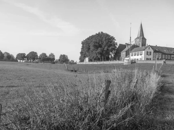 Bord Rhin Près Emmerich Allemagne — Photo