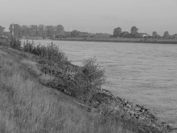 Στο Ποτάμι Του Ρινόκερου Κοντά Στο Έμεριχ Στη Γερμανία — Φωτογραφία Αρχείου