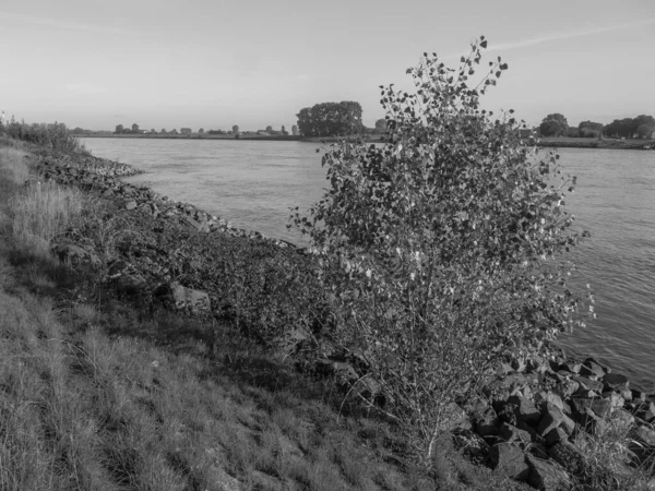 ドイツのエメリッヒ近郊のライン川で — ストック写真