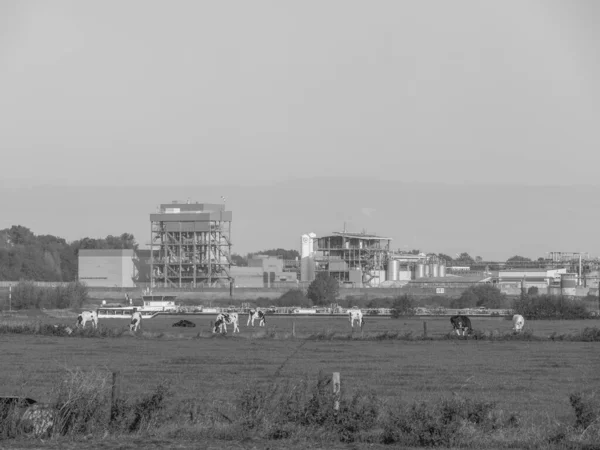 Almanya Emmerich Yakınlarındaki Ren Nehri Nde — Stok fotoğraf