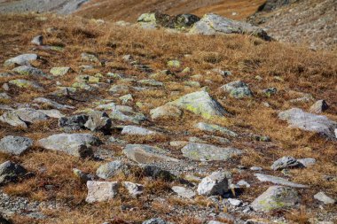 İsviçre 'de sonbahar zamanı