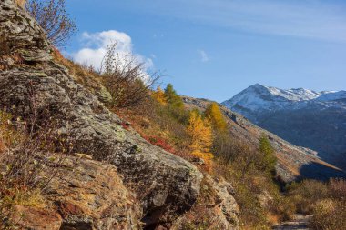 İsviçre 'deki Alpler