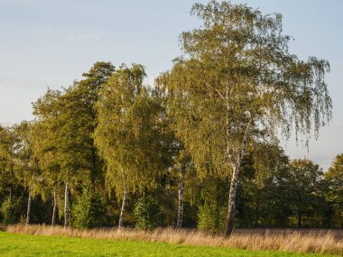 İsviçre 'deki Alpler