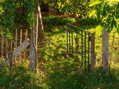 İsviçre 'deki Alpler