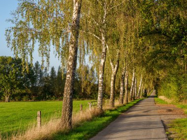 İsviçre 'deki Alpler