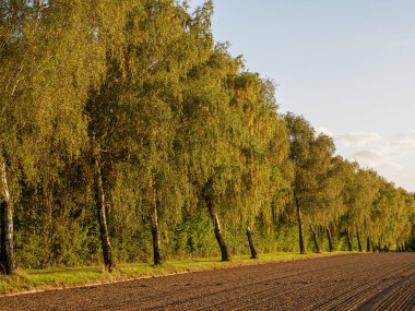 İsviçre 'deki Alpler