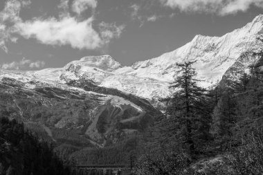 İsviçre dağlarında yürüyüş