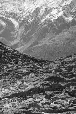 İsviçre dağlarında yürüyüş