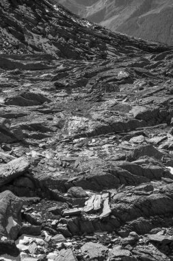 İsviçre dağlarında yürüyüş