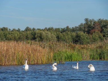Hollanda 'daki Giethoorn' un küçük bir köyü.