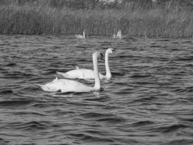 Hollanda 'daki Giethoorn' un küçük bir köyü.