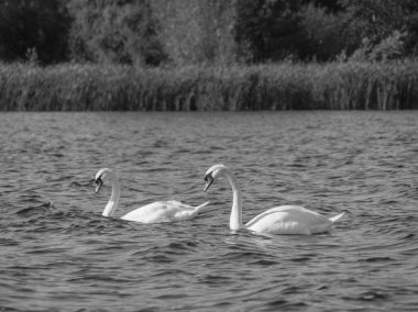Hollanda 'daki Giethoorn' un küçük bir köyü.