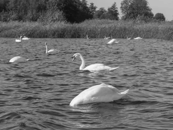 Das Kleine Dorf Giethoorn Den Niederlanden — Stockfoto