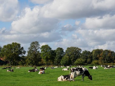 Schuettorf şehri Almanya 'nın Vechte nehrinde.
