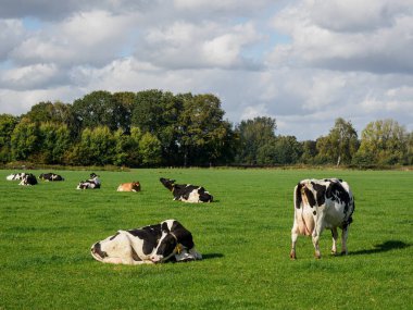 Schuettorf şehri Almanya 'nın Vechte nehrinde.