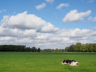 Schuettorf şehri Almanya 'nın Vechte nehrinde.