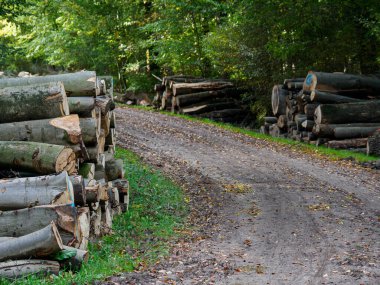Schuettorf şehri Almanya 'nın Vechte nehrinde.