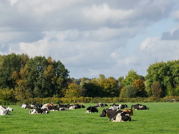 Città Schuettorf Sul Fiume Vechte Germania — Foto Stock