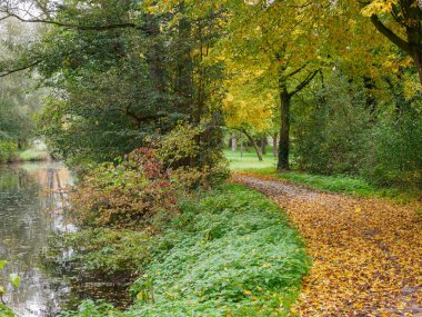 Almanya 'da Sonbahar Nehirinde Aa