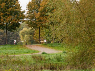 Almanya 'da Sonbahar Nehirinde Aa