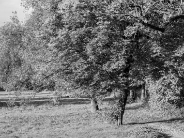 Almanya 'da Sonbahar Nehirinde Aa