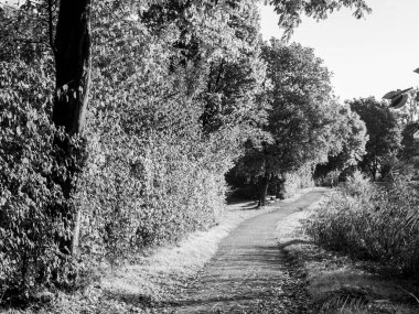 Almanya 'da Sonbahar Nehirinde Aa