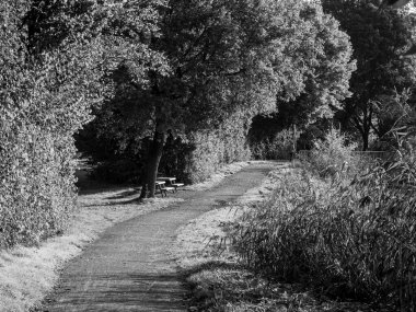 Almanya 'da Sonbahar Nehirinde Aa