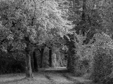 Almanya 'da Sonbahar Nehirinde Aa