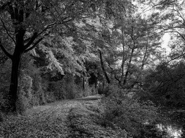 Almanya 'da Sonbahar Nehirinde Aa