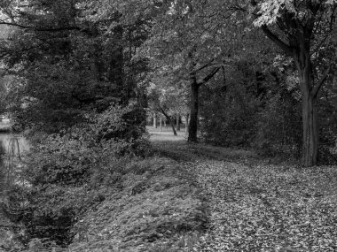 Almanya 'da Sonbahar Nehirinde Aa