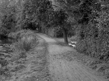 Almanya 'da Sonbahar Nehirinde Aa