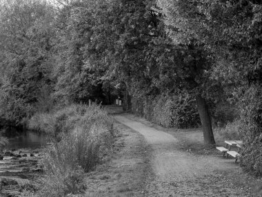 Almanya 'da Sonbahar Nehirinde Aa