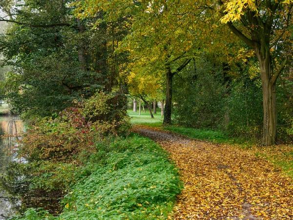 Autumn River Germany — Stock Photo, Image