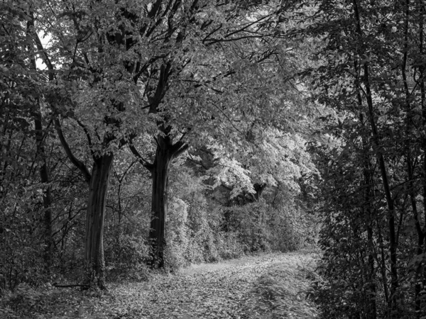 Herfst Aan Duitsland — Stockfoto