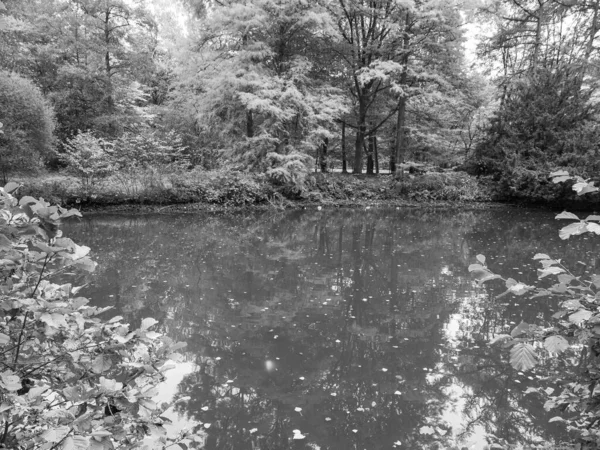 Jesień Niemieckim Lesie — Zdjęcie stockowe