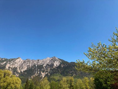 VADUZ, LIECHTENSTEIN, 22 Nisan 2020 Güneşli bir günde yeşil ağaçlı Alp manzarası