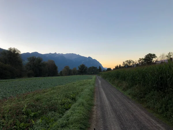 Schaan Liechtenstein Septiembre 2021 Temprano Mañana Sobre Prado Las Montañas — Foto de Stock