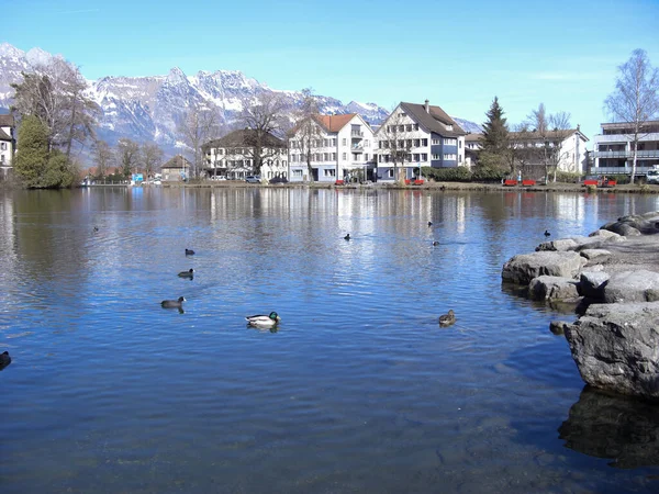 Werdenberg Svizzera Febbraio 2019 Grazioso Laghetto Giorno Cielo Blu — Foto Stock