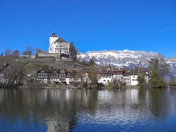 Werdenberg Szwajcaria Luty 2019 Piękne Jeziorko Dzień Błękitnego Nieba — Zdjęcie stockowe