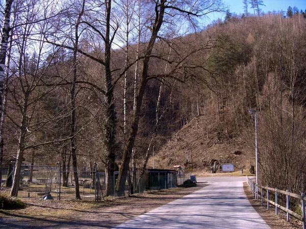 Werdenberg スイス2019年2月26日歩行者専用道路が木のある丘につながる — ストック写真