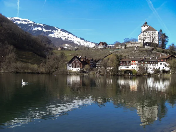 Werdenberg Szwajcaria Luty 2019 Niebiański Widok Jezioro Tradycyjnymi Starymi Budynkami — Zdjęcie stockowe