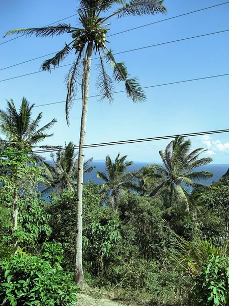 Landschapspanorama Bij Het Batangas Kanaal Bij Puerto Galera Filippijnen Februari — Stockfoto