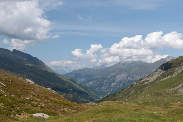 Vals Zwitserland Augustus 2021 Majestueus Uitzicht Alpen Een Groene Weide — Stockfoto