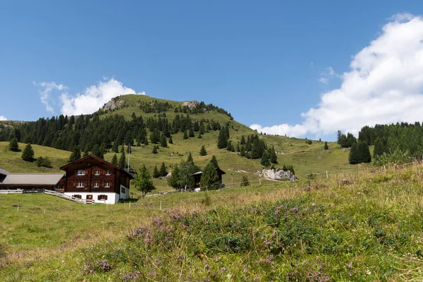 Arosa Švýcarsko Srpna 2021 Fantastický Výhled Hory Během Túry — Stock fotografie