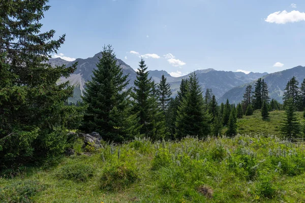 スイス アロス2021年8月15日ハイキング中の山の上の素晴らしい景色 — ストック写真