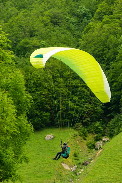 Appenzell Schweiz Juni 2021 Fallschirm Nähert Sich Neben Einigen Bäumen — Stockfoto