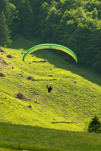 Appenzell Sviçre Haziran 2021 Paraşütü Yeşil Bir Çayıra Yaklaşıyor — Stok fotoğraf