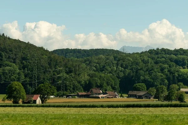 スイス オーバーリート2021年6月13日高山の風景の中の牧草地と森 — ストック写真